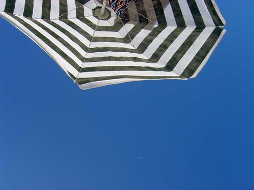 parasol